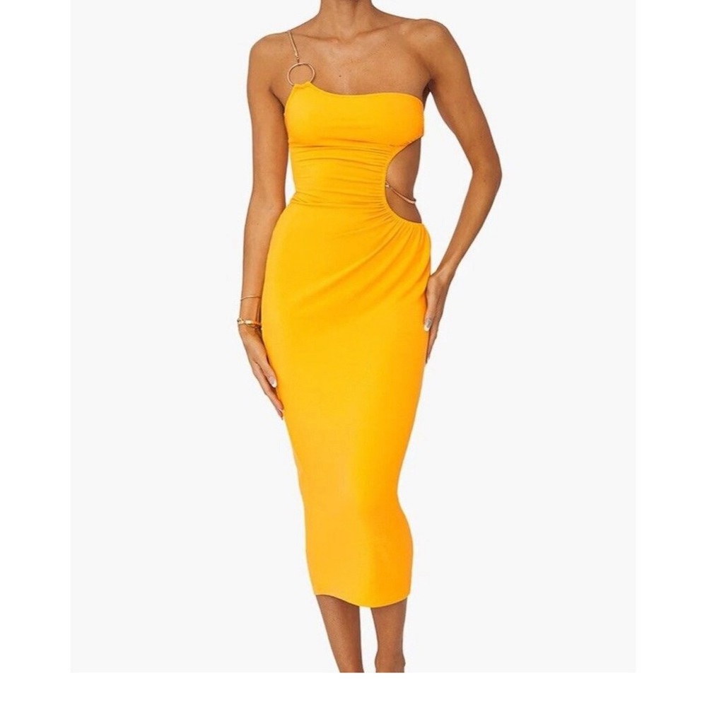 Snake Chain WeWoreWhat Dress